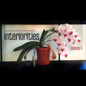 Interiorities - sonic experiments and documents from lockdown - Episode 5 - RTM May 3, 2020