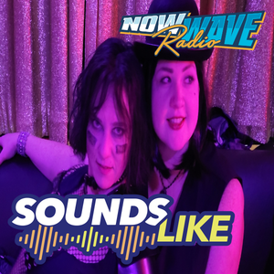 Sounds Like • Jeri-Rig & V-Dub • 10-31-2024