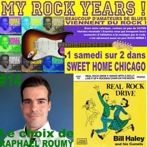 MY ROCK YEARS #14 - Le choix de Raphael Roumy : BILL HALEY
