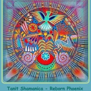 reborn phoenix
