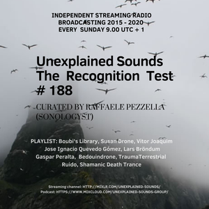 Unexplained Sounds - The Recognition Test # 188