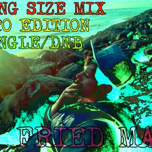 Fried Man Special 420 Drum N Bass Jungle King Size Mix 09 16 05