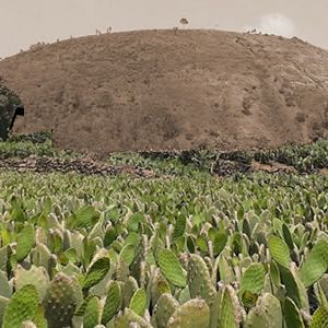 Promocional Somos Nuestra Memoria: Paisaje cultural en Milpa Alta