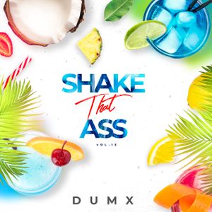 Shake That Ass Vol. 12 (Fresh Hip Hop & R'n'B & Moombahton Music) - Mixed By Dumx