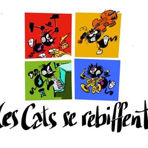 LES CATS SE REBIFFENT 19 10 20