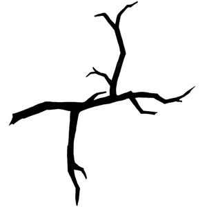 Why Do Birds Suddenly Appear By Throat Of The Loon Mixcloud