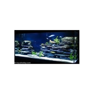 Aquascaping 101 Driftwood And Caves Aquascaping Part 2 By American Variety Network Mixcloud