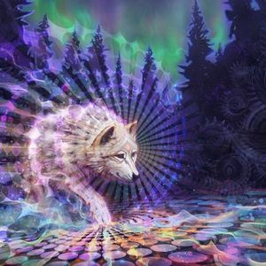 Dance with the Wolves - Psybient mix