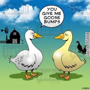 Goose bump