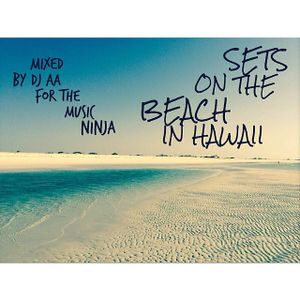 Sets On The Beach In Hawaii #3 [TheMusicNinja.Com]