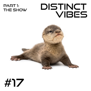 Distinct Vibes #17 Part One