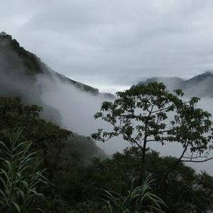 La Sierra Norte de Puebla, miradas entretejidas. ExposiciÃ³n