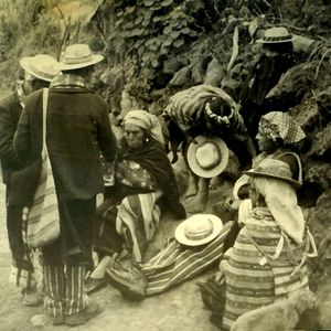 Promocional: Historia ambiental y campesinado 