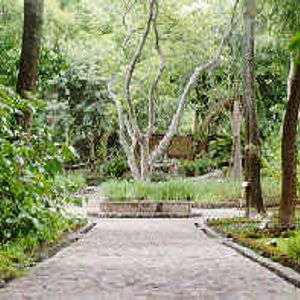 Jardín Etnobotánico 01