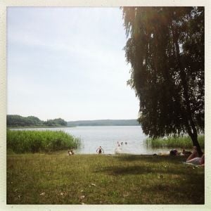ggut 's summerset