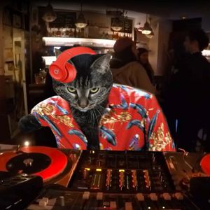 Chat Selectif Jose Chicanos Dj Set By Le Mellotron Mixcloud