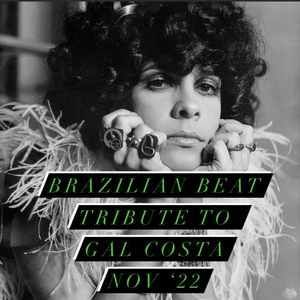 Gal Costa Tribute Show - The Brazilian Beat (Allen "The Ambassador" Thayer) 11-14-22