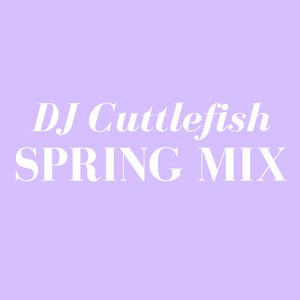 Uncensored Spring Mix - DJ Cuttlefish - Far Out Galaxy
