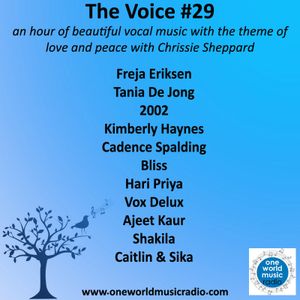 The Voice #29