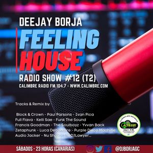 FEELING HOUSE RADIO SHOW #12 (T2) Selected & Mixed by Deejay Borja (2021-11-20)
