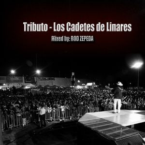 Tributo - Los Cadetes De Linares