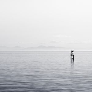 Cover art for A quiet sea by lowlight