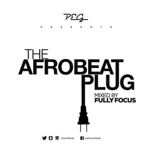 Cover art for The Afrobeat Plug by FullyFocus