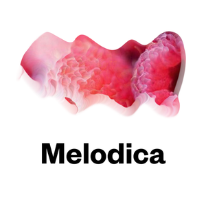 Melodica 27 May 2019