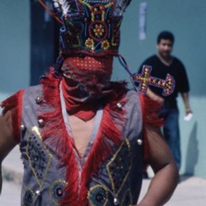 Tepehua, lengua patrimonio de MÃ©xico