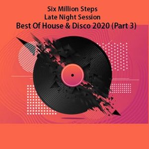 6MS Late Night Session Best Of House 2020 Part 3