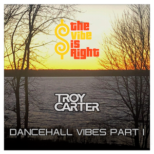 Troy Carter presents - DanceHall Vibes Pt 1 (The Vibe Is Right Live FB DJ Mix Set)
