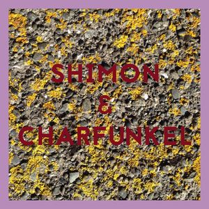 Shimon & Charfunkel