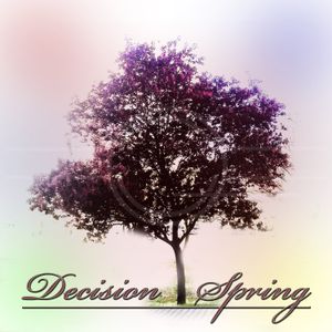 Decision Spring