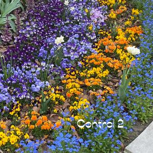 Cover art for Control 2 by _DjRo_