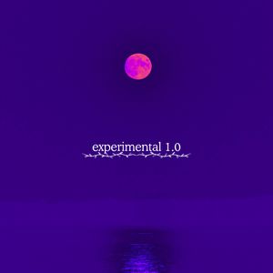 Cover art for Experimental 1.0 by sssgittt