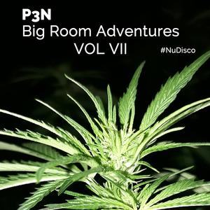 Big Room Adventures VOL VII