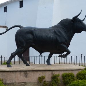 Técnica del pene de toro en los badajos de las campanas