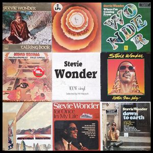 Stevie Wonder - 100% vinyl