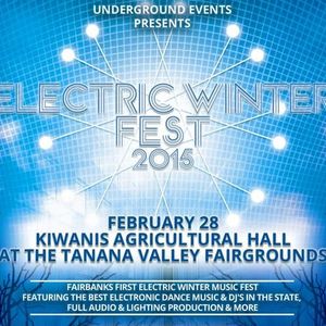 Electric Winter Fest 2015 Mix