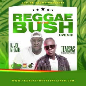 Cover art for Reggae In The Bush Live Mixx - Dj Joe Mfalme & MC Teargas by DjJoeMfalme