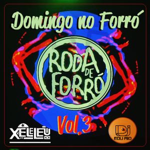 Dj  Xeleléu & Dj Edu Rio - Domingo no Forró Vol.3