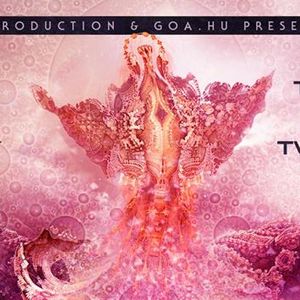 Y-Production & Goa.hu presents :TALAMASCA & MINDWAVE & TWISTED KALA (2016.01.23)