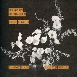 Memory Murmurs