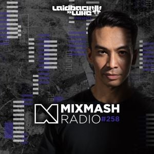 Mixmash Radio 258 Feat Lady Bee Powermix By Laidback Luke Mixcloud mixmash radio 258 feat lady bee