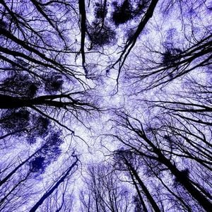 sonic core of new statues #12