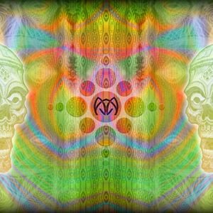 Cover art for Ajja - Peak Records - Live Set - 2012 by Ajja