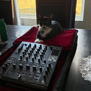 Disco House Promo Mix