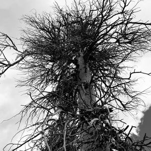 Hypnos Hour With Chelsea Wolfe Melancholia By Red Bull