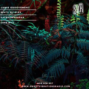 Jamie Groovement - Sweet Vibrations Radio Nov 2022
