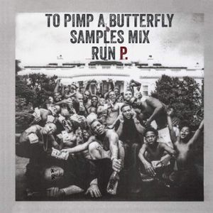 To Pimp A Butterfly: Samples Mix